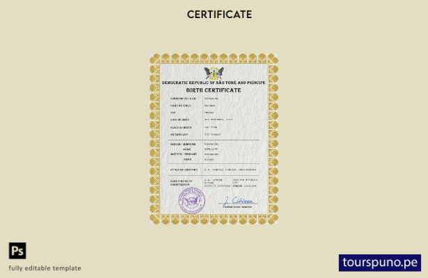 listo para imprimir plantilla PSD del certificado de nacimiento del registro c 9